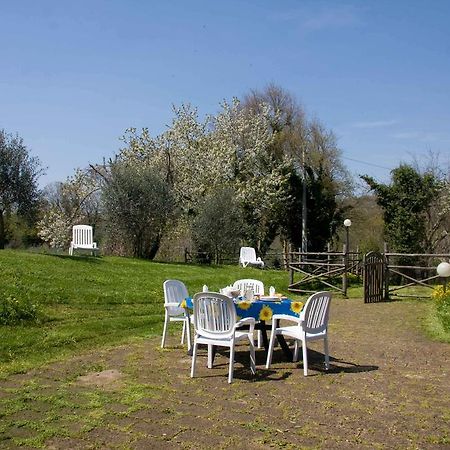 Relais Il Ciliegio Aparthotel Sorano  Exterior foto